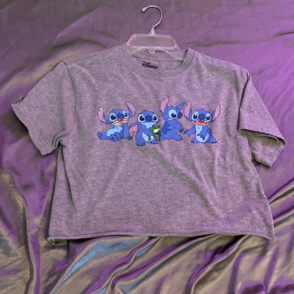 snitch gray crop top